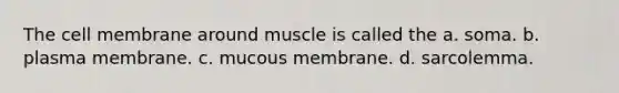 The cell membrane around muscle is called the a. soma. b. plasma membrane. c. mucous membrane. d. sarcolemma.