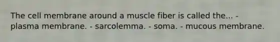 The cell membrane around a muscle fiber is called the... - plasma membrane. - sarcolemma. - soma. - mucous membrane.