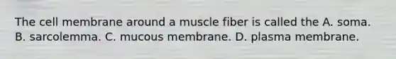 The cell membrane around a muscle fiber is called the A. soma. B. sarcolemma. C. mucous membrane. D. plasma membrane.