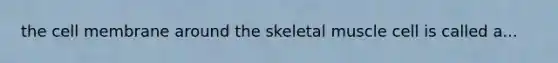 the cell membrane around the skeletal muscle cell is called a...