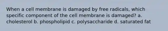 When a cell membrane is damaged by free radicals, which specific component of the cell membrane is damaged? a. cholesterol b. phospholipid c. polysaccharide d. saturated fat