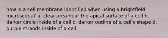 how is a cell membrane identified when using a brightfield microscope? a. clear area near the apical surface of a cell b. darker circle inside of a cell c. darker outline of a cell's shape d. purple strands inside of a cell