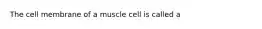 The cell membrane of a muscle cell is called a