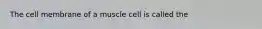 The cell membrane of a muscle cell is called the