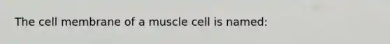 The cell membrane of a muscle cell is named: