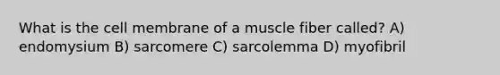 What is the cell membrane of a muscle fiber called? A) endomysium B) sarcomere C) sarcolemma D) myofibril