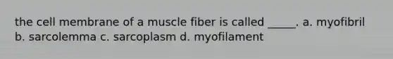 the cell membrane of a muscle fiber is called _____. a. myofibril b. sarcolemma c. sarcoplasm d. myofilament