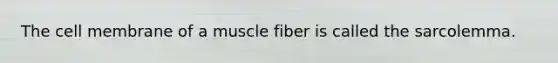 The cell membrane of a muscle fiber is called the sarcolemma.