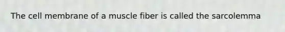 The cell membrane of a muscle fiber is called the sarcolemma