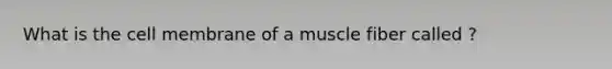 What is the cell membrane of a muscle fiber called ?