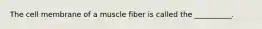 The cell membrane of a muscle fiber is called the __________.