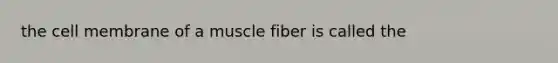 the cell membrane of a muscle fiber is called the