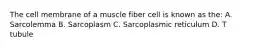 The cell membrane of a muscle fiber cell is known as the: A. Sarcolemma B. Sarcoplasm C. Sarcoplasmic reticulum D. T tubule