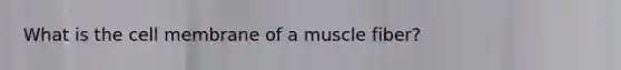 What is the cell membrane of a muscle fiber?