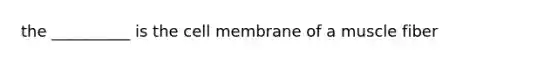 the __________ is the cell membrane of a muscle fiber