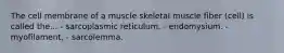 The cell membrane of a muscle skeletal muscle fiber (cell) is called the... - sarcoplasmic reticulum. - endomysium. - myofilament. - sarcolemma.