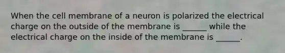 When the cell membrane of a neuron is polarized the electrical charge on the outside of the membrane is ______ while the electrical charge on the inside of the membrane is ______.