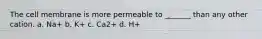 The cell membrane is more permeable to _______ than any other cation. a. Na+ b. K+ c. Ca2+ d. H+