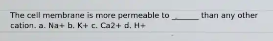 The cell membrane is more permeable to _______ than any other cation. a. Na+ b. K+ c. Ca2+ d. H+