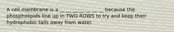 A cell membrane is a __ __ __ __ __ __ __ because the phospholipids line up in TWO ROWS to try and keep their hydrophobic tails away from water.