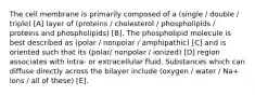 The cell membrane is primarily composed of a (single / double / triple) [A] layer of (proteins / cholesterol / phospholipids / proteins and phospholipids) [B]. The phospholipid molecule is best described as (polar / nonpolar / amphipathic) [C] and is oriented such that its (polar/ nonpolar / ionized) [D] region associates with intra- or extracellular fluid. Substances which can diffuse directly across the bilayer include (oxygen / water / Na+ ions / all of these) [E].