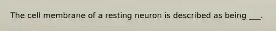 The cell membrane of a resting neuron is described as being ___.