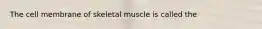 The cell membrane of skeletal muscle is called the