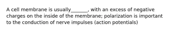 A cell membrane is usually_______, with an excess of negative charges on the inside of the membrane; polarization is important to the conduction of nerve impulses (action potentials)