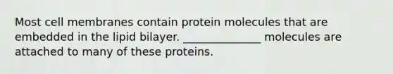 Most cell membranes contain protein molecules that are embedded in the lipid bilayer. ______________ molecules are attached to many of these proteins.