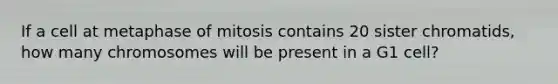 If a cell at metaphase of mitosis contains 20 sister chromatids, how many chromosomes will be present in a G1 cell?