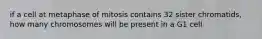 if a cell at metaphase of mitosis contains 32 sister chromatids, how many chromosomes will be present in a G1 cell
