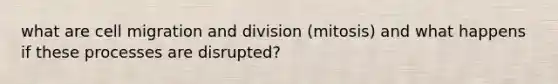 what are cell migration and division (mitosis) and what happens if these processes are disrupted?