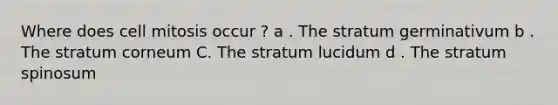 Where does cell mitosis occur ? a . The stratum germinativum b . The stratum corneum C. The stratum lucidum d . The stratum spinosum