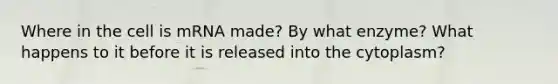 Where in the cell is mRNA made? By what enzyme? What happens to it before it is released into the cytoplasm?