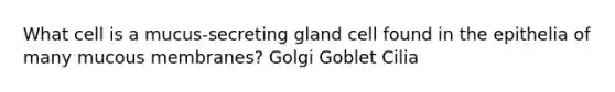 What cell is a mucus-secreting gland cell found in the epithelia of many mucous membranes? Golgi Goblet Cilia