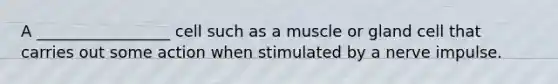 A _________________ cell such as a muscle or gland cell that carries out some action when stimulated by a nerve impulse.