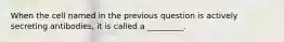 When the cell named in the previous question is actively secreting antibodies, it is called a _________.