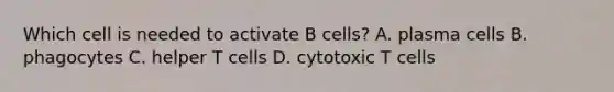 Which cell is needed to activate B cells? A. plasma cells B. phagocytes C. helper T cells D. cytotoxic T cells