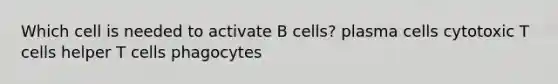 Which cell is needed to activate B cells? plasma cells cytotoxic T cells helper T cells phagocytes