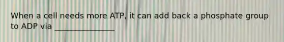 When a cell needs more ATP, it can add back a phosphate group to ADP via _______________