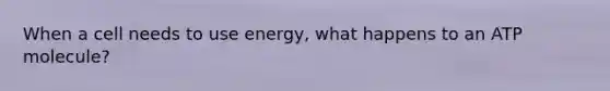 When a cell needs to use energy, what happens to an ATP molecule?