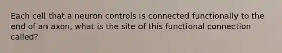 Each cell that a neuron controls is connected functionally to the end of an axon, what is the site of this functional connection called?