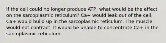 If the cell could no longer produce ATP, what would be the effect on the sarcoplasmic reticulum? Ca+ would leak out of the cell. Ca+ would build up in the sarcoplasmic reticulum. The muscle would not contract. It would be unable to concentrate Ca+ in the sarcoplasmic reticulum.