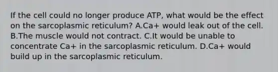 If the cell could no longer produce ATP, what would be the effect on the sarcoplasmic reticulum? A.Ca+ would leak out of the cell. B.The muscle would not contract. C.It would be unable to concentrate Ca+ in the sarcoplasmic reticulum. D.Ca+ would build up in the sarcoplasmic reticulum.