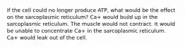 If the cell could no longer produce ATP, what would be the effect on the sarcoplasmic reticulum? Ca+ would build up in the sarcoplasmic reticulum. The muscle would not contract. It would be unable to concentrate Ca+ in the sarcoplasmic reticulum. Ca+ would leak out of the cell.