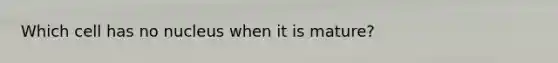 Which cell has no nucleus when it is mature?