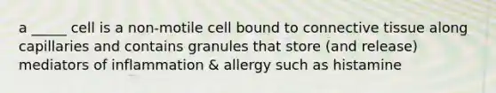 a _____ cell is a non-motile cell bound to connective tissue along capillaries and contains granules that store (and release) mediators of inflammation & allergy such as histamine