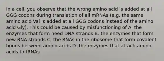 In a cell, you observe that the wrong amino acid is added at all GGG codons during translation of all mRNAs (e.g. the same amino acid Val is added at all GGG codons instead of the amino acid Gly). This could be caused by misfunctioning of A. the enzymes that form need DNA strands B. the enzymes that form new RNA strands C. the RNAs in the ribosome that form covalent bonds between amino acids D. the enzymes that attach amino acids to tRNAs