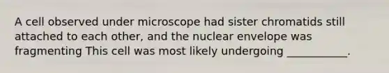 A cell observed under microscope had sister chromatids still attached to each other, and the nuclear envelope was fragmenting This cell was most likely undergoing ___________.