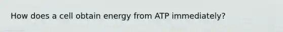 How does a cell obtain energy from ATP immediately?